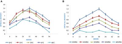 Deciphering the Potential of Rhizobium pusense MB-17a, a Plant Growth-Promoting Root Endophyte, and Functional Annotation of the Genes Involved in the Metabolic Pathway